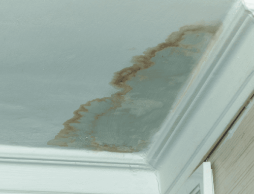 Water Damage and How to Prevent it at Your Seasonal Home in Palm Beach